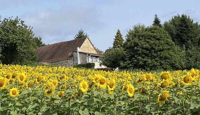Four-star tranquil retreat - perfect for a driving holiday in the Perigord Vert