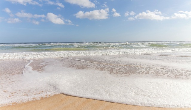 Four Winds by Distinctive Beach Rentals
