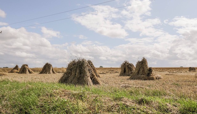 FOURWAYS, pet friendly, character holiday cottage in Pewsey