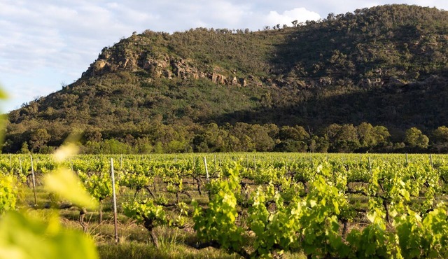 Fox's Den at Milbrodale Estate