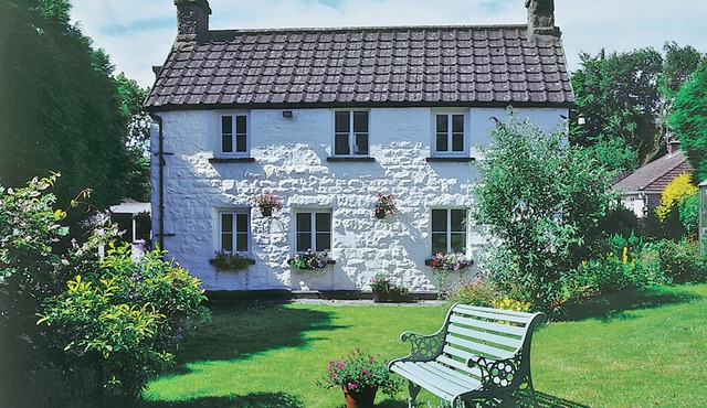 Foxes Reach - HW7421