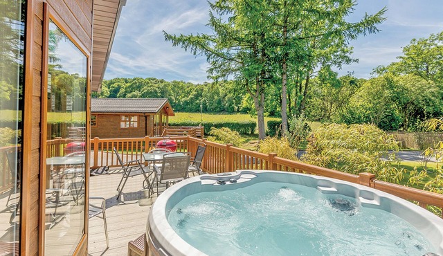 Foxglove 4 Platinum Plus