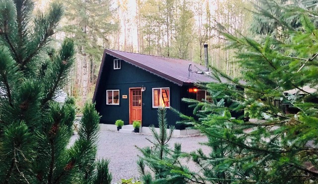 Foxglove Hollown5 Mi to MRNP/King Bed/Hot Tub/Trail to River/Dog Friendly