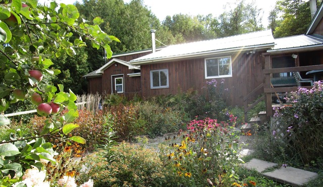 Foymount Farm stay with horses, Family and pet friendly