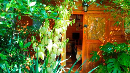 Le Portel des Arnaud Chambres d'Hôtes