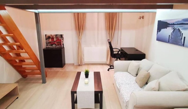 Cosy studio with mezzanine & parking 2min Walibi