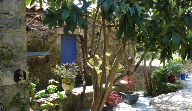 Vacation home 14 pers 7ch. authentic Mas cévenol, wooded park, near Anduze