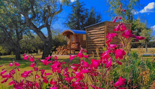 Authentic caravan with heated pool and breakfast included