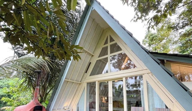 Frame Cabin with Endless Rice Field View