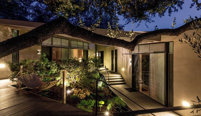 Frame Hotel - Treehouse