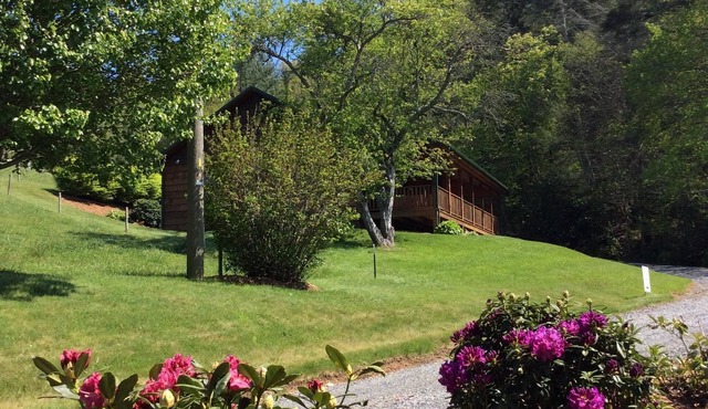 Frances' Cabin 6 minutes to Downtown Immaculately Kept