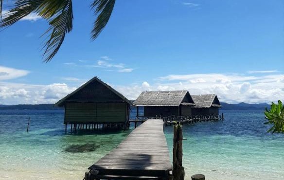 Frances Homestay - Raja Ampat