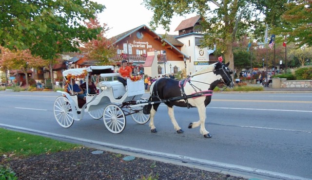 Frankenmuth Getaway - April special - Book a min of 2 nights get a free night