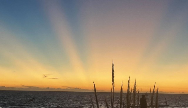 FREE 1G wifi, and premium movie channels.