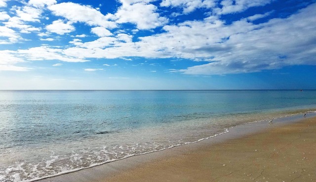 FREE Bikes, Kayaks, SUP's and More! Spoil yourself with unmatched amenities!