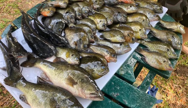 FREE Boat to use-Fish from the TIKI outback-Dock your boat on canal-Pets OK-4 Br