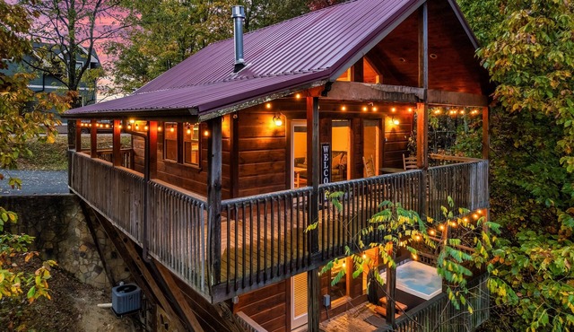 Free Dollywood Tix/VIEWS/DogFriendly