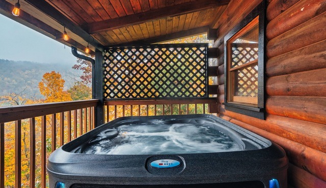 Free Dollywood Tix/Couples Cabin/HotTub/