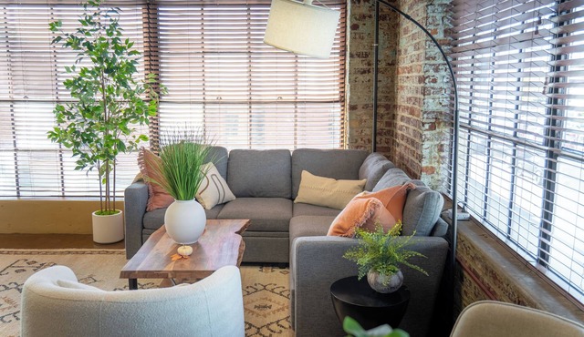 Free Garage + King Bed - Brick Loft in Downtown Roanoke - Walk to everything
