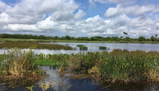 Free Golf & Amenities with Membership transfer. River Strand Condo