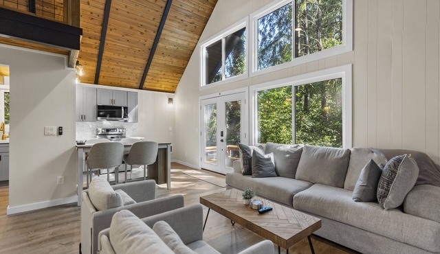 FREE Hot Tub Use + LV 2 EV Charging! Cozy Cabin - 5 min from Belfair State Park