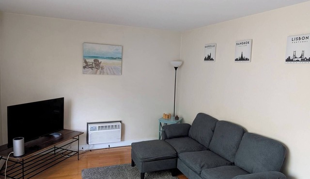 Free Parking 1 BR near Downtown & Brady St