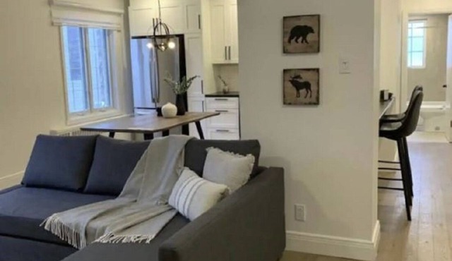 Free Parking, Beautiful 4 1/2-2 BR apartment near metro