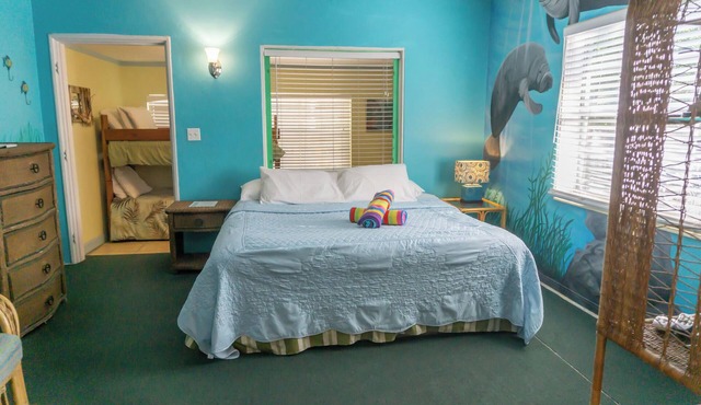 Free sailing, kayaking, water toys etc w/Cottage