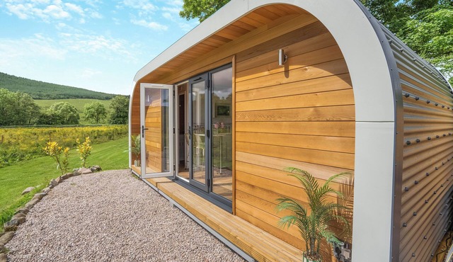 Freedom Fields - Bluebell