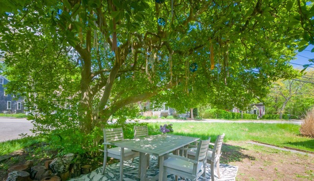 Freestanding antique cottage on Main Street in Sandwich's historic village!