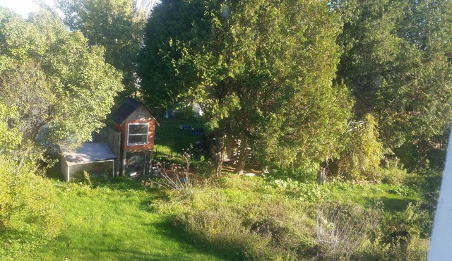 Freighter views, DeTour Passage 4BR, 2BA