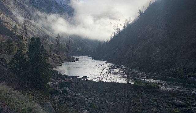 French Creek Inn. Creekside Cabin with Fire Sauna