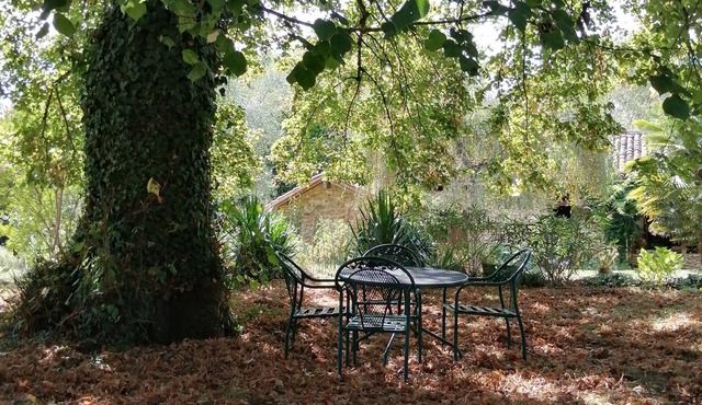 Fresh air and sunshine