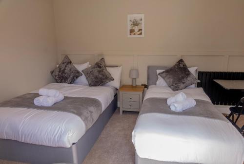 Fresh & Modern Studio Sleeps 3