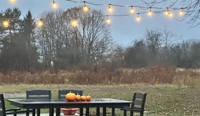 Fresh powder, walk to town! Pet friendly and guest fav.