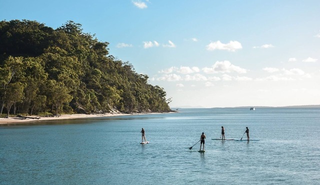 Freshly renovated and peaceful family-friendly getaway at Kingfisher Bay Resort