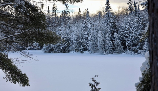 Freshly Remodeled Cabin on The Tahquamenon River
