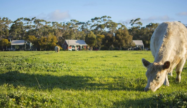 Freshwater Creek Cottages and Farm Stay