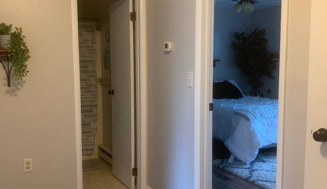 friendly area, walking distance to town- great location !