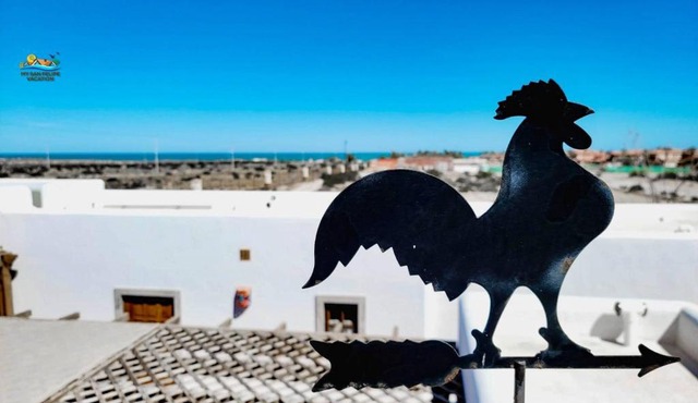 Friendly Home Studio Veleta 2 with WiFi