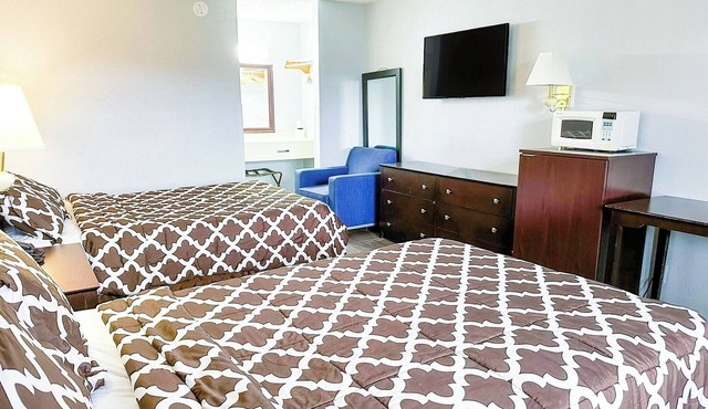 Friendly Lodging for Pet Owners – 3 Rooms with Essential Amenities