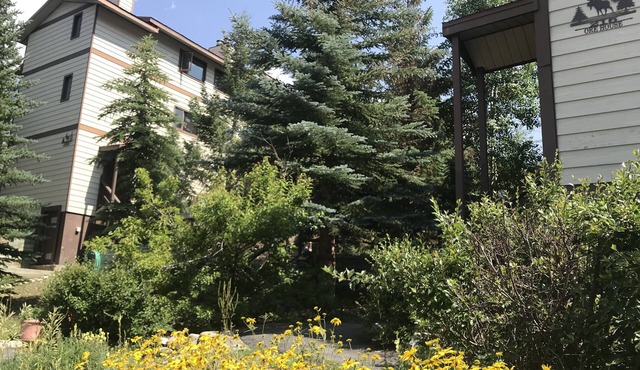 Frisco Condo-Walk to Main St. - Trail Heads-FREE bus to Copper/Breck on Main St.