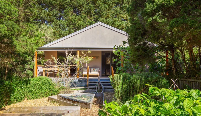 Frog Cottage Ventnor