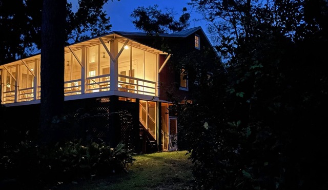 Frog Symphony! Sunsets! Beachfront!・Porch Swing Bed!・2x King Beds