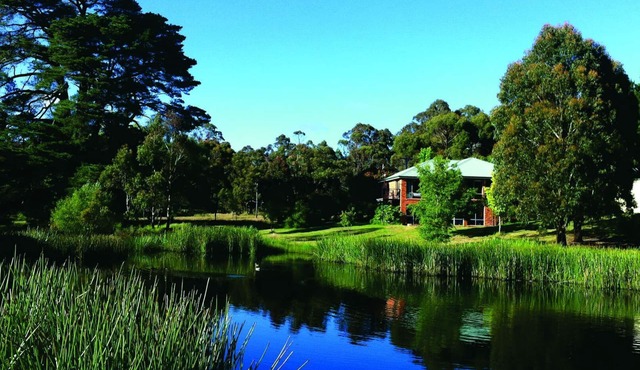 Frogspark - High Country Escape