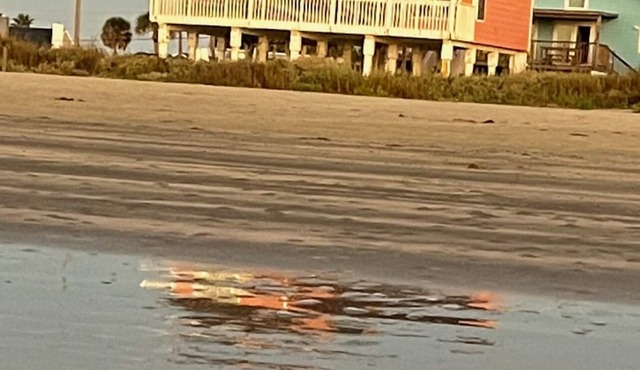 Front Row Beach Home, Your Piece of Paradise