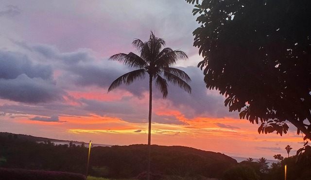 Front Row - Beautiful Oceanview Ground Floor