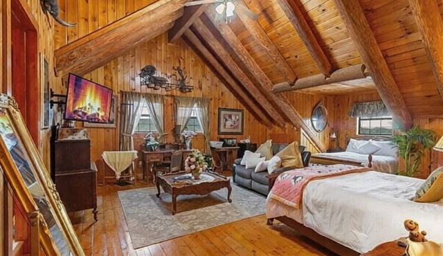 Frontier Suite - Cozy Cabin, Mico, TX