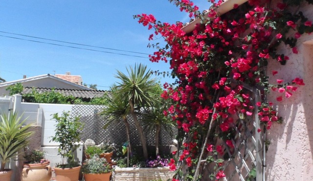 FRONTIGNAN - Single-storey house of 85 m2 - DIRECT ACCESS BEACH - Internet access