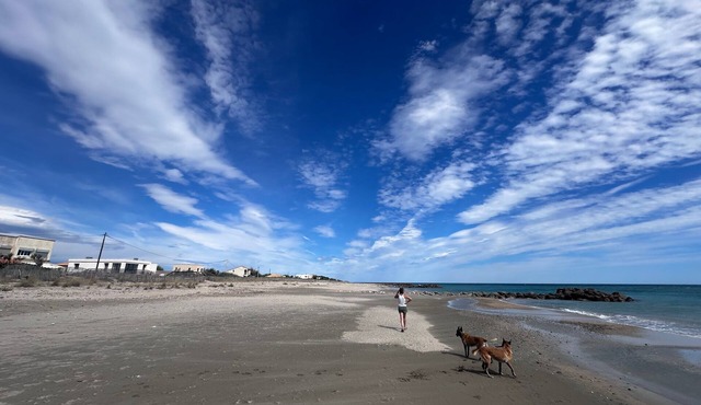 Frontline air-conditioned villa on the Plage des Aresquiers